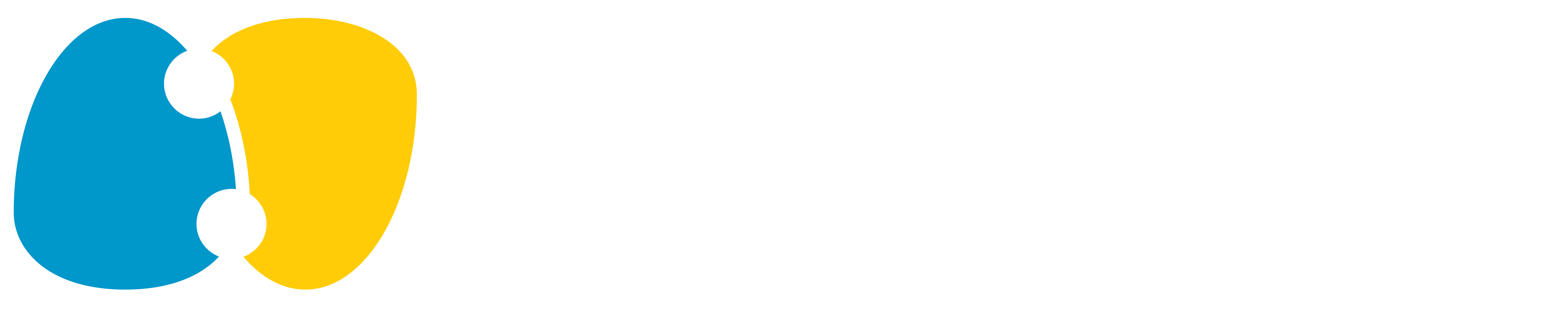 Runtime Verification